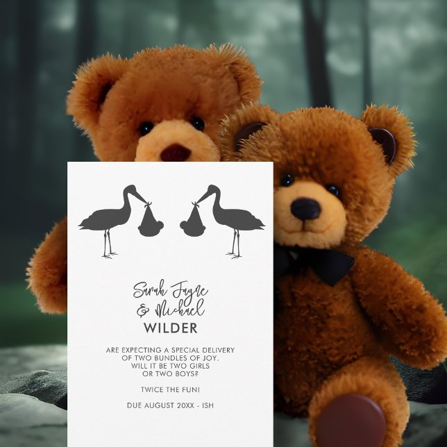 Modern Stork Twins Pregnancy Announcement Cards (Creator Uploaded)