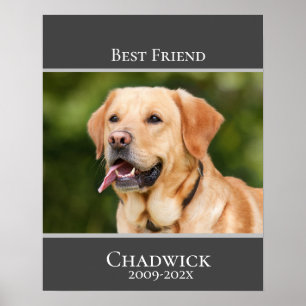 Modern Stylish Add Photo Pet Memorial Poster