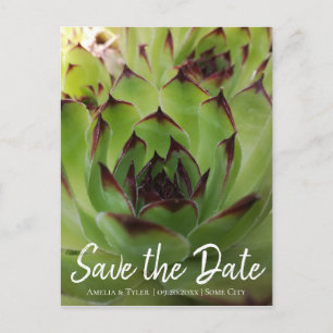 Modern Succulent Script Green Save the Date Announcement Postcard