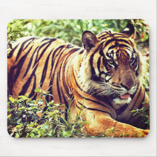 Modern Sumatran Tiger Mousepad