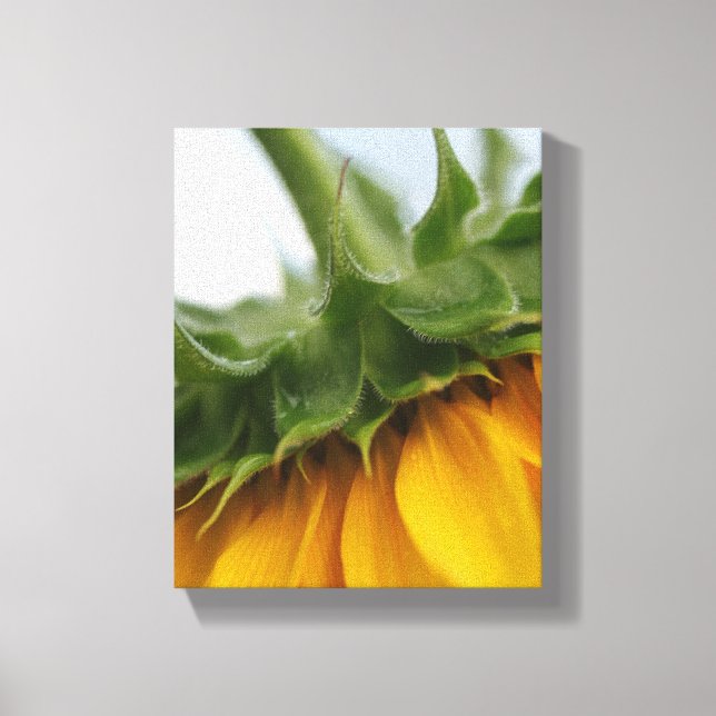 Modern Summer Sunflower Stretched Canvas Print (Front)