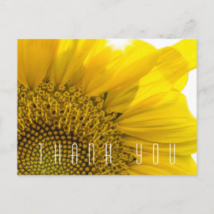 Modern Sunflower Thank You Name Postcard