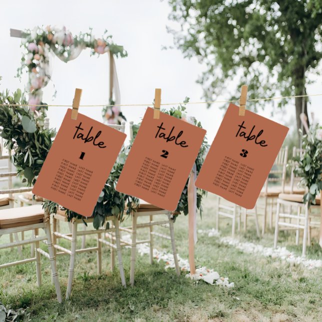 Modern Terracotta wedding seating chart cards (Terracotta wedding seating chart cards
)