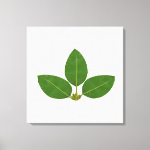 Modern Three Green Bay Leaves Canvas Print