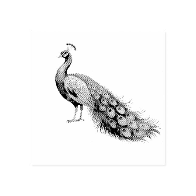 Modern Trendy Peacock Rubber Stamp (Imprint)