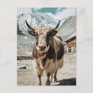 Modern Trendy yak animal Holiday Postcard