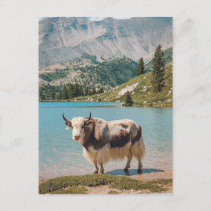 Modern Trendy yak animal Holiday Postcard