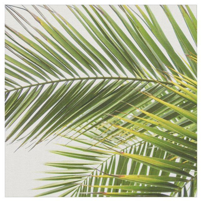 Modern tropical palm tree leaves fabric (Close Up)