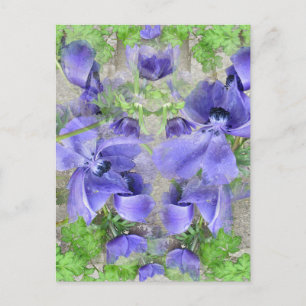 Modern Urban Garden Postcard