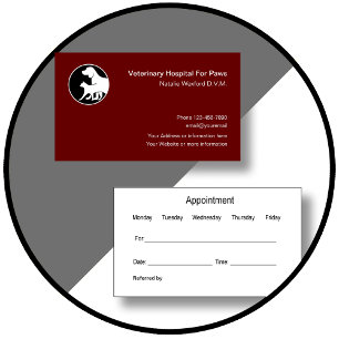Modern Veterinarian Appointment Business Card