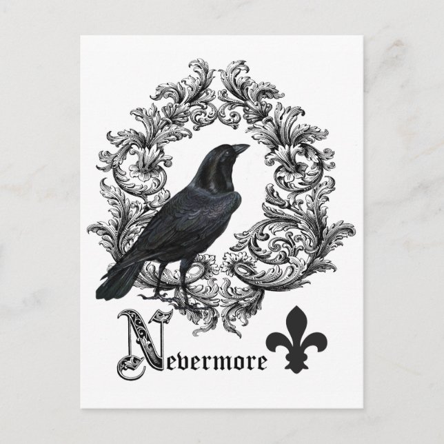 modern vintage black halloween crow postcard (Front)