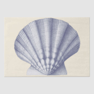 Modern Vintage Blue Beige Shell Tissue Paper