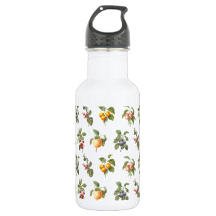 modern vintage botanical fruits 532 ml water bottle
