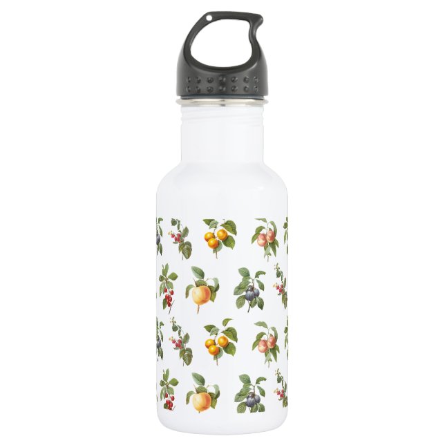 modern vintage botanical fruits 532 ml water bottle (Front)