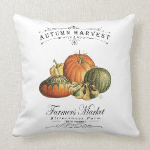 modern vintage fall gourds and pumpkin cushion