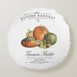 modern vintage fall gourds and pumpkin round cushion