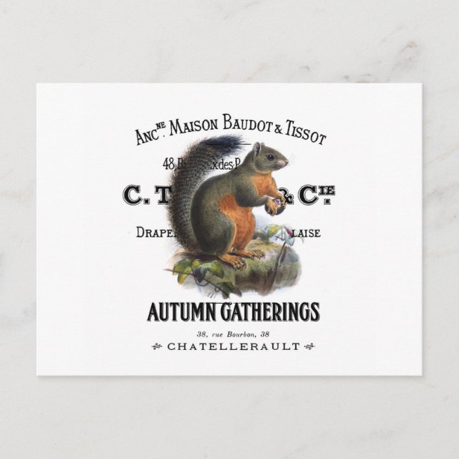 modern vintage fall squirrel postcard (Front)