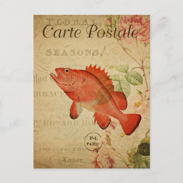 Modern Vintage Fish collage art  Postcard (Front)