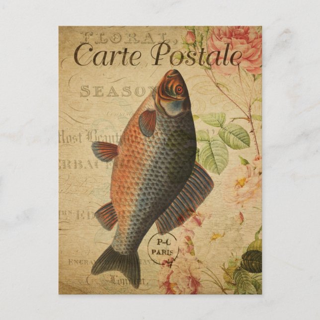 Modern Vintage Fish collage art  Postcard (Front)