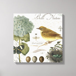modern vintage French bird and nest Canvas Print