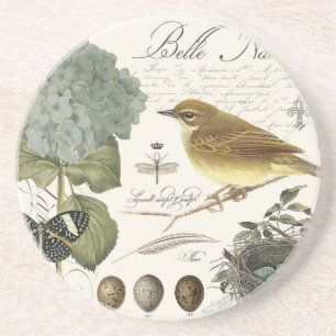 modern vintage French bird and nest Coaster