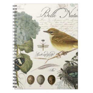 modern vintage French bird and nest Spiral Notebook