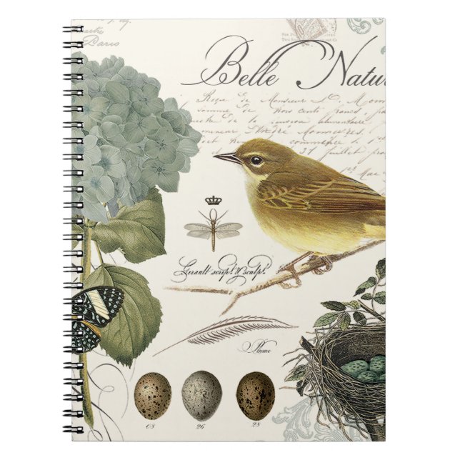 modern vintage French bird and nest Spiral Notebook (Front)