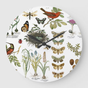 modern vintage french botanical birds and flowers large clock