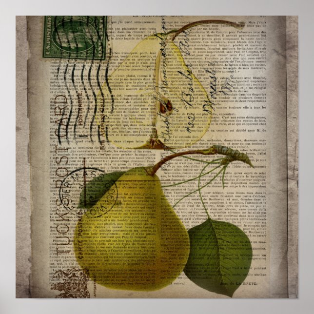 modern Vintage french Botanical Print fruit pear (Front)