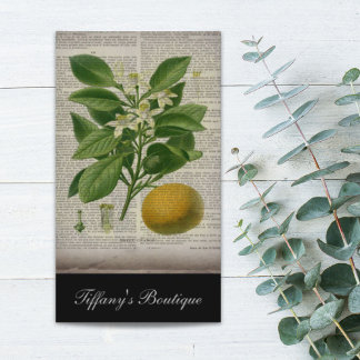 modern vintage french country botanical art orange business card
