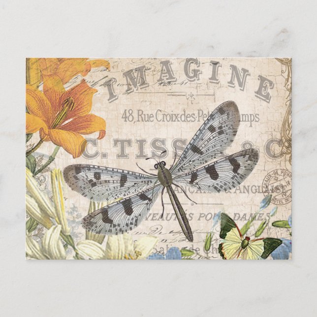 modern vintage french dragonfly postcard (Front)
