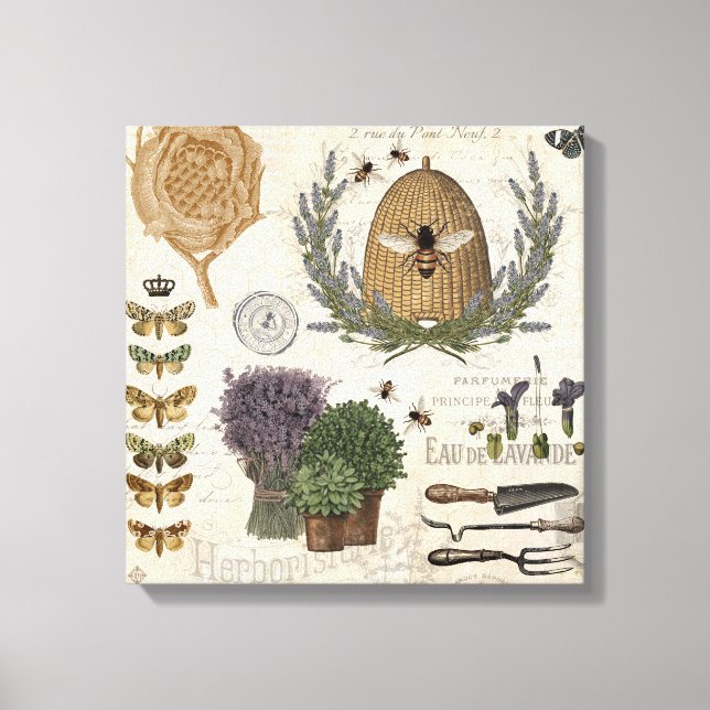 Modern Vintage French Farmhouse Bee Canvas Print (Front)