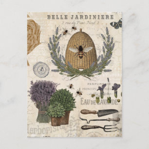 Modern Vintage French Farmhouse Bee Postcard