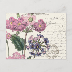 modern vintage french floral postcard