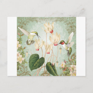 Modern Vintage French Hummingbirds Postcard