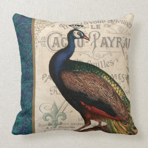 modern vintage french peacock cushion