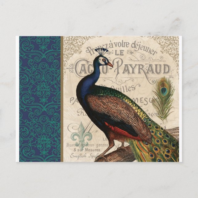 modern vintage french peacock postcard (Front)
