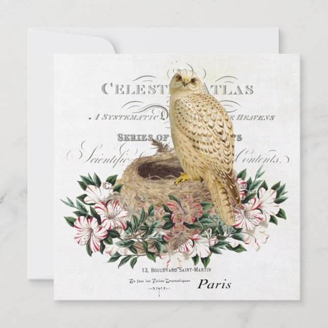 modern vintage French winter owl Invitation (Front)