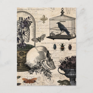 Modern Vintage Halloween Garden Postcard