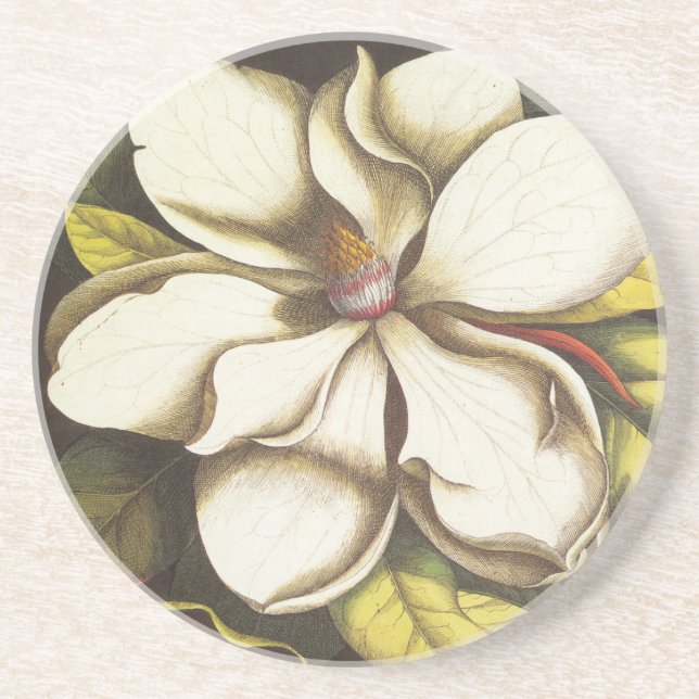 modern vintage magnolia coaster (Front)