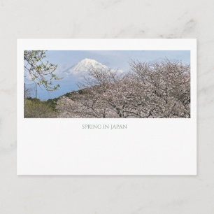 Modern Vintage Mt Fuji Japan Spring Cherry Blossom Postcard