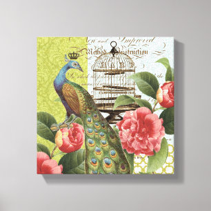 Modern Vintage Peacock stretched canvas Print
