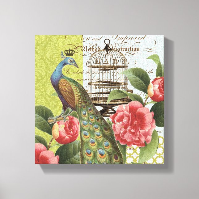 Modern Vintage Peacock stretched canvas Print (Front)