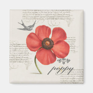 Modern Vintage Poppy Illustration Magnet