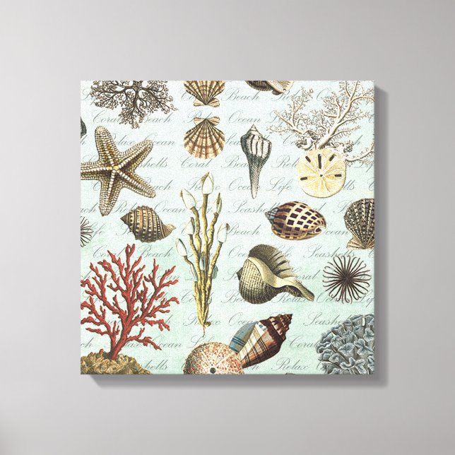 Modern Vintage Seashells Canvas Print (Front)
