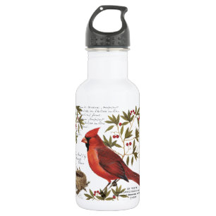 modern vintage winter cardinal 532 ml water bottle