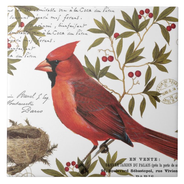 modern vintage winter cardinal tile (Front)