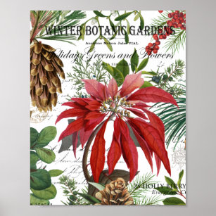 Modern vintage winter garden floral postcard poste poster