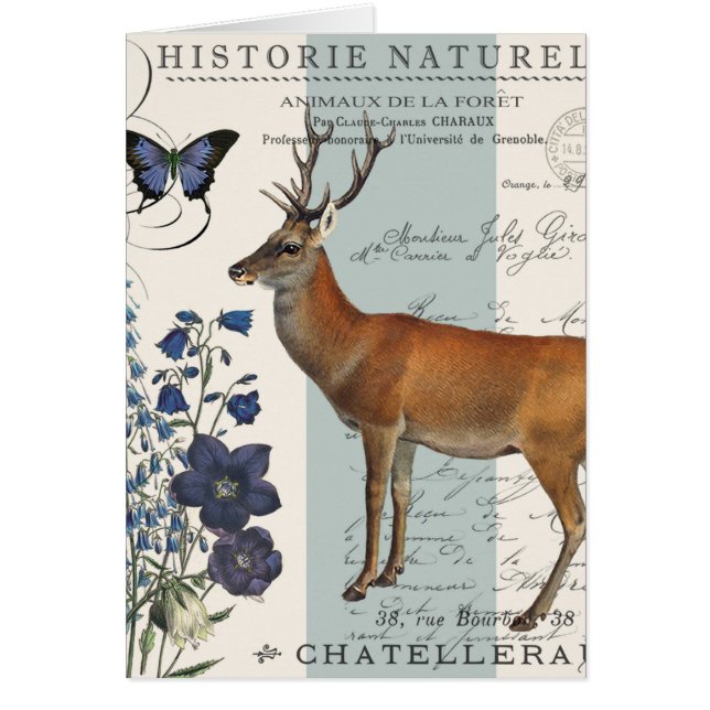 modern vintage woodland deer (Front)