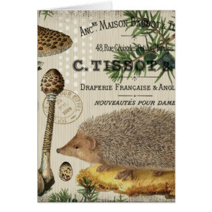 modern vintage woodland hedgehog